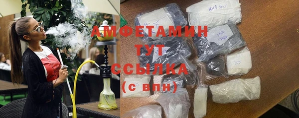 прущие грибы Аркадак