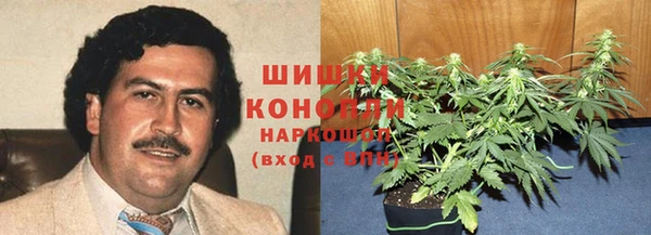 прущие грибы Аркадак