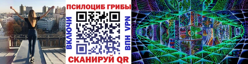 Псилоцибиновые грибы Cubensis площадка официальный сайт Каргат